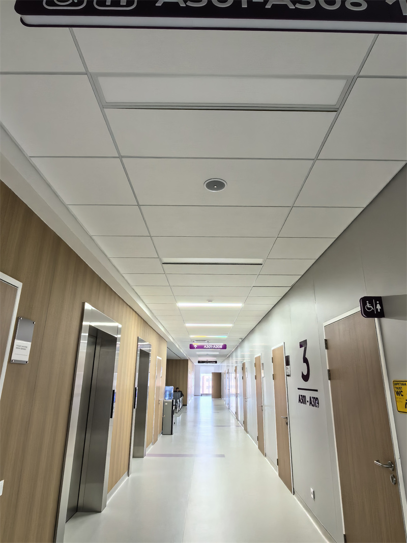 Huamei Fiberglass Acoustic Ceiling Panels Deployed (1)