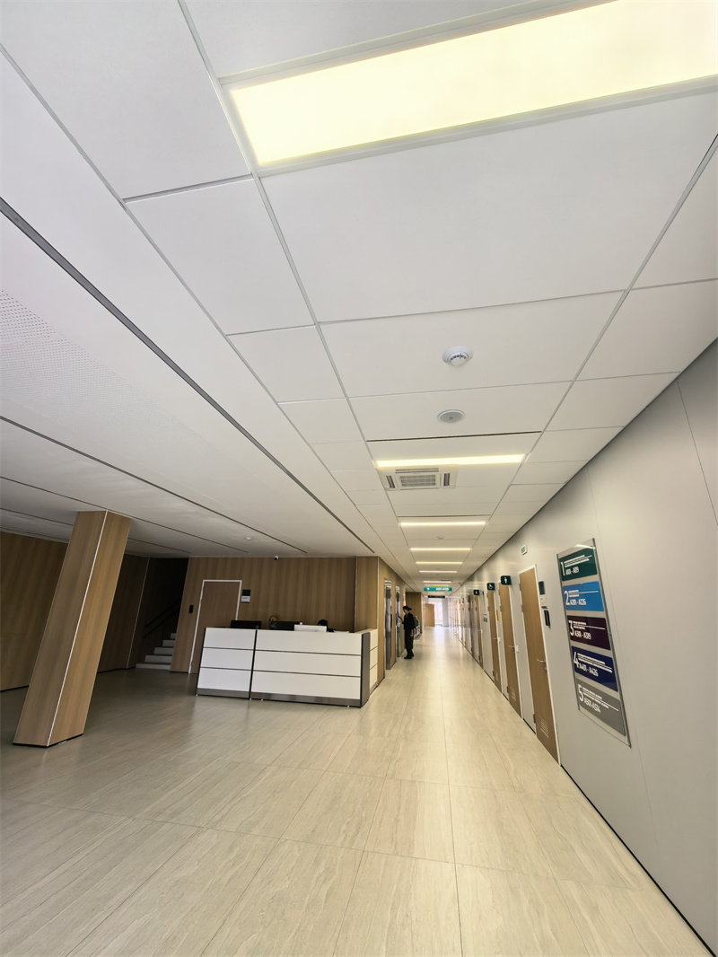 Huamei Fiberglass Acoustic Ceiling Panels Deployed (3)